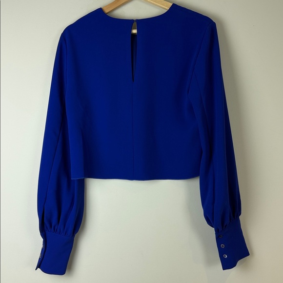 Aritzia Babaton Royal Blue Long Sleeve Blouse Size Medium - Picture 4 of 8